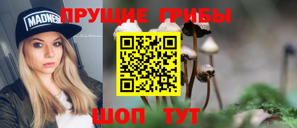 сколько стоит  Вход с VPN  Нурлат  Галлюциногенные грибы GOLDEN TEACHER 