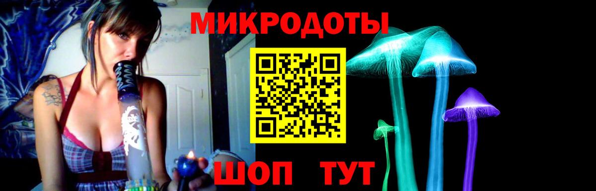 Псилоцибиновые грибы Psilocybine cubensis Нурлат